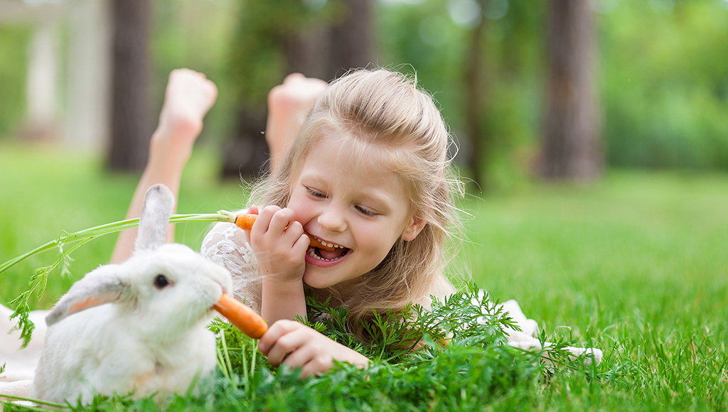 Beginner Care For Rabbits